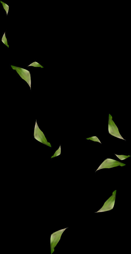 Green Leaves Against Black Background PNG