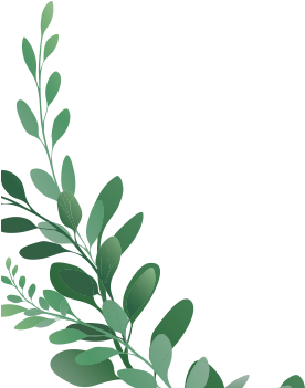 Green Leaves Against Blue Background PNG