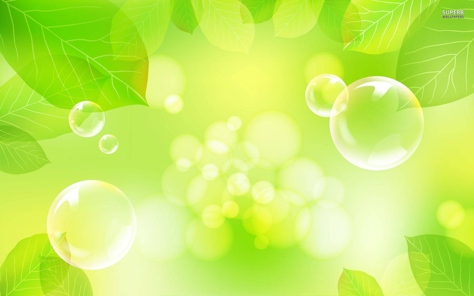Green Leaves And Bubbles