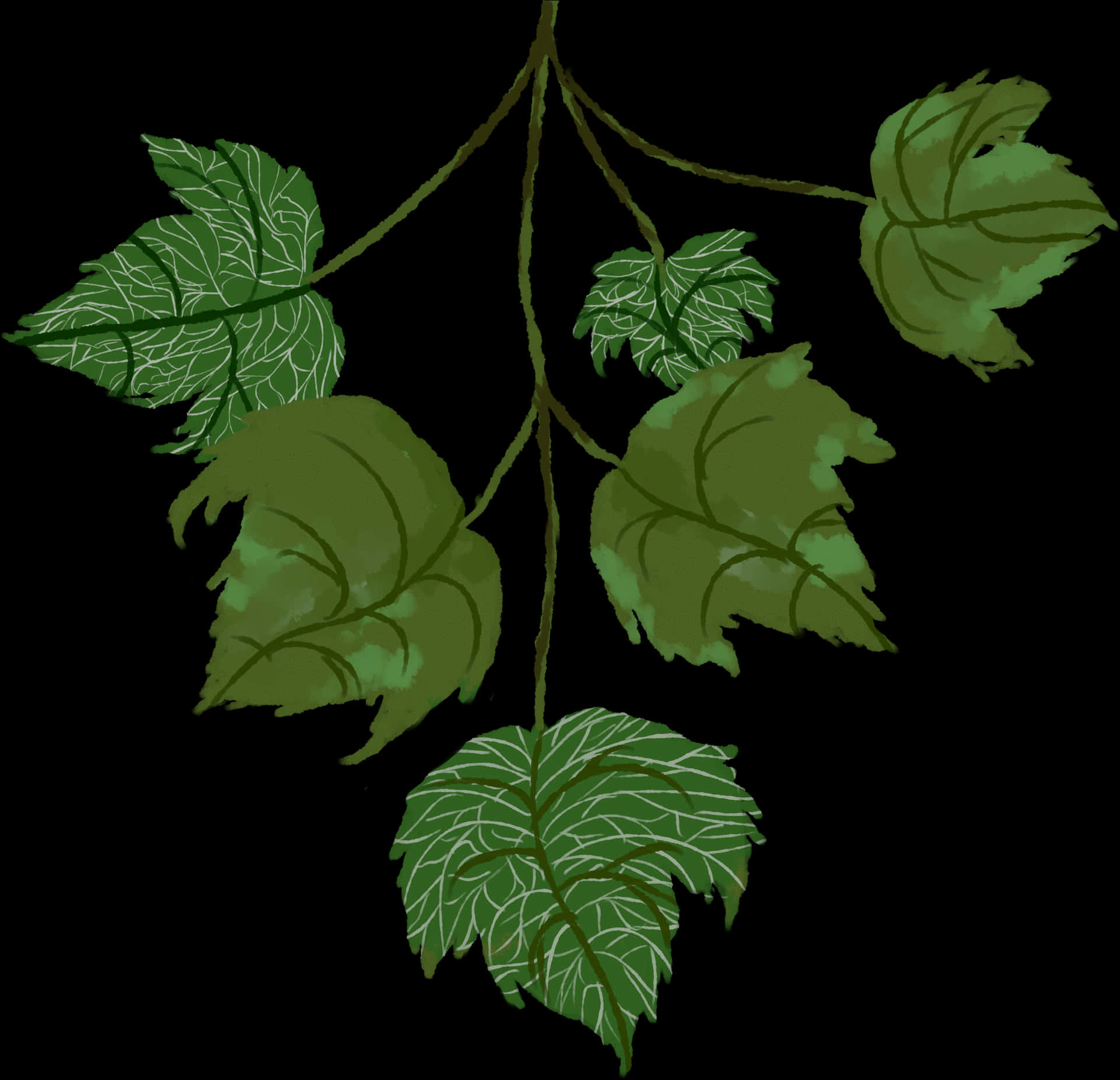 Green Leaves Dark Background PNG