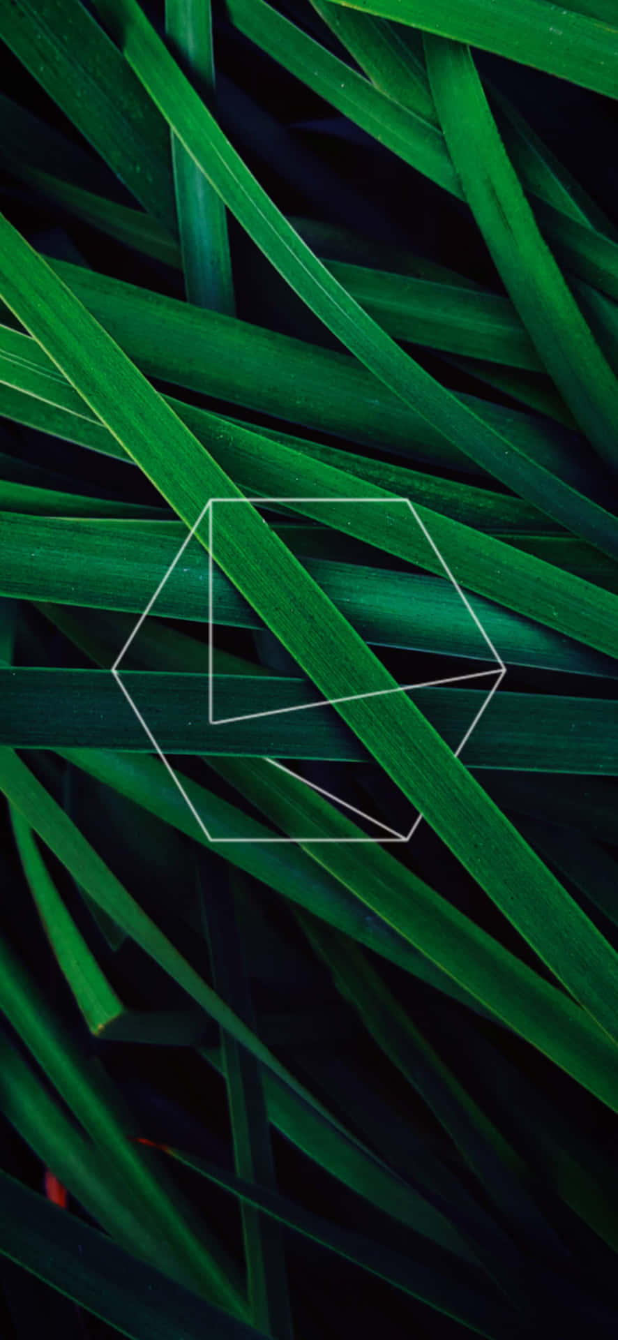 Green Leaves Geometric Overlay Wallpaper