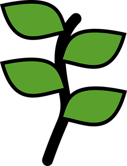 Green Leaves Icon Black Background PNG