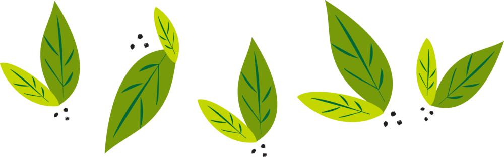 Green Leaves Vector Illustration PNG