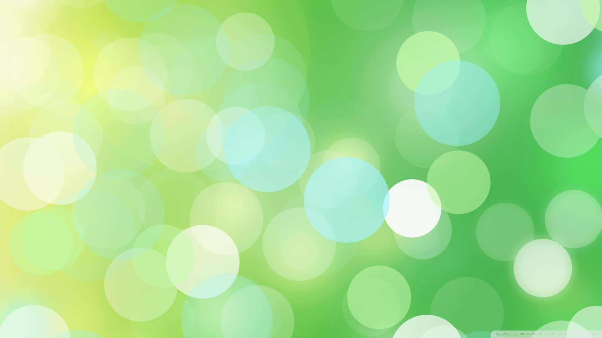 Green And White Bokeh Background Wallpaper