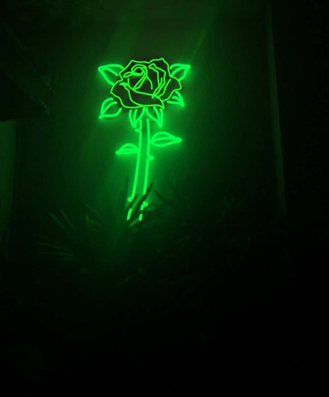 Florde Led Verde En Fondo Oscuro Fondo de pantalla