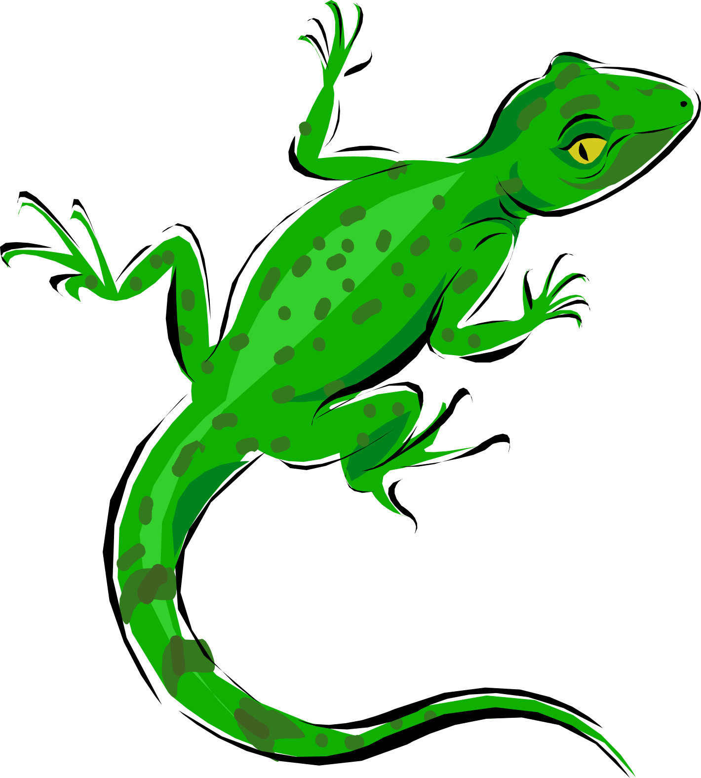 Green Lizard Illustration.png PNG