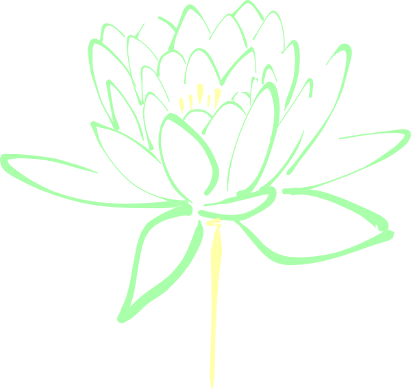 Green Lotus Flower Sketch PNG