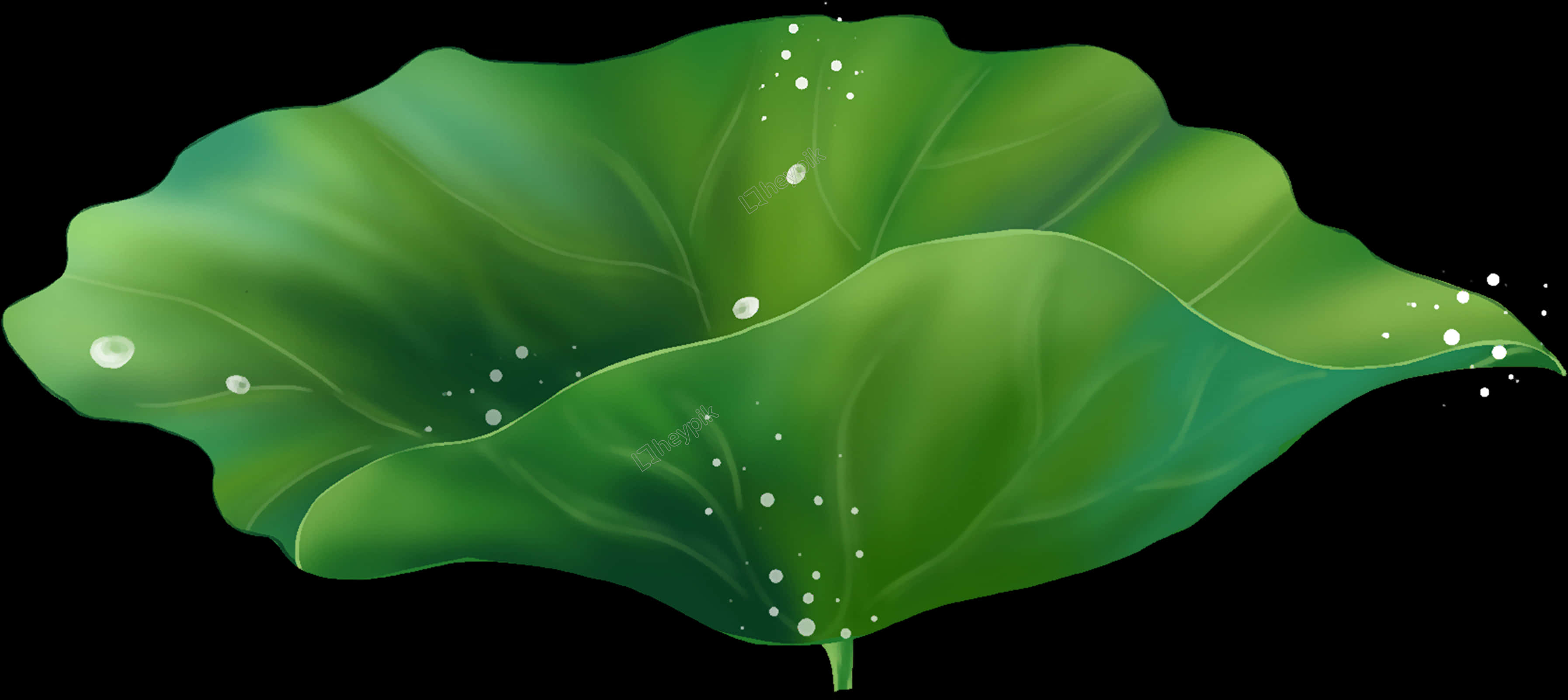 Green Lotus Leafwith Dew Drops PNG