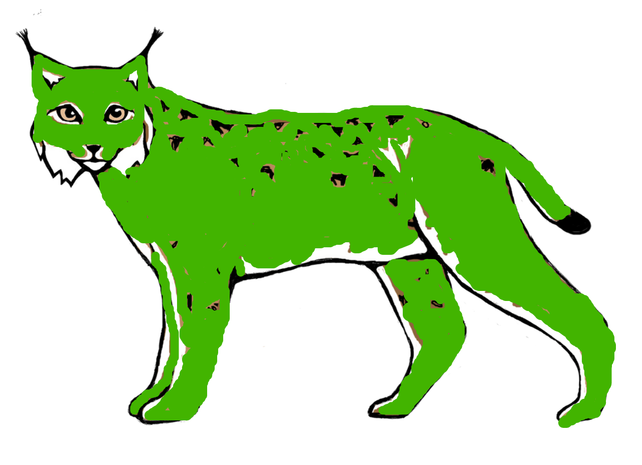 Green Lynx Illustration PNG