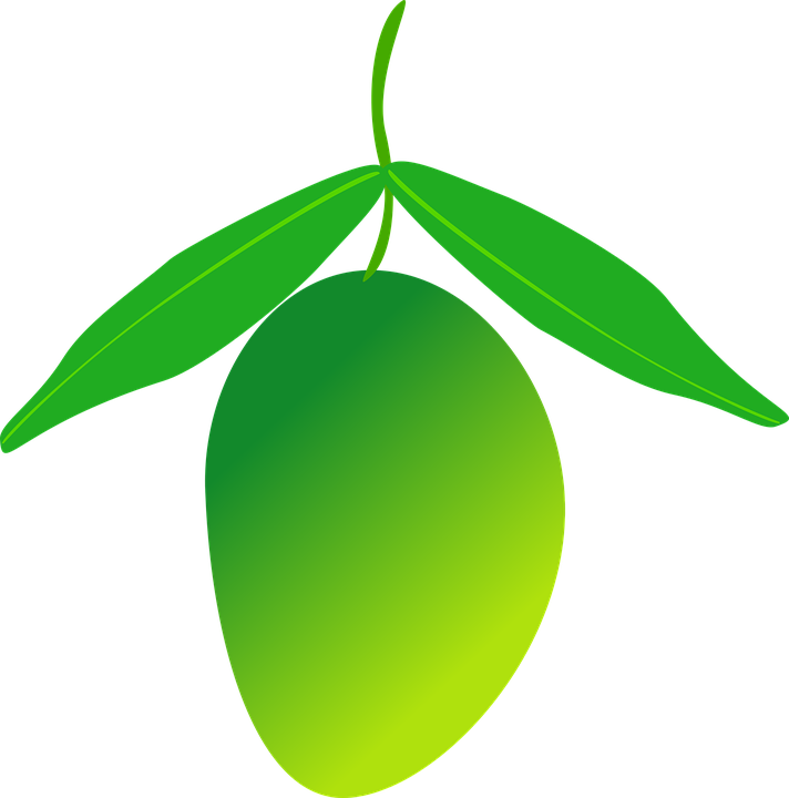 Green Mango Vector Illustration PNG
