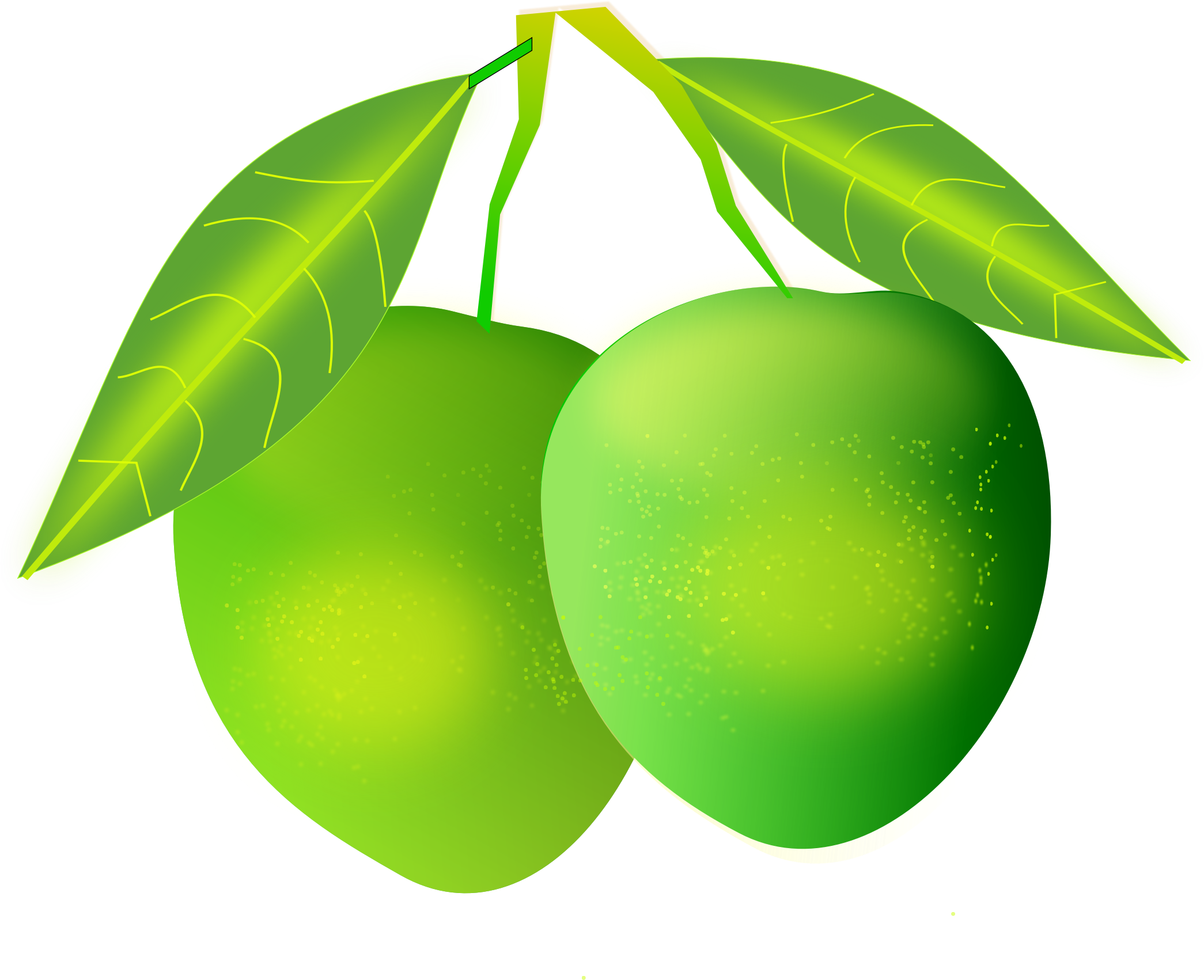 Green Mangoes With Leaves PNG