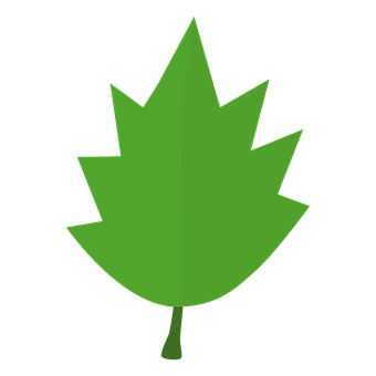 Green Maple Leaf Black Background PNG