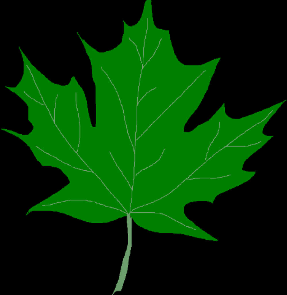 Green Maple Leaf Clipart PNG