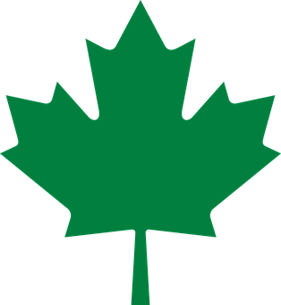 Green Maple Leaf Graphic PNG