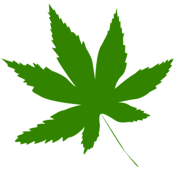 Green Maple Leaf Icon PNG