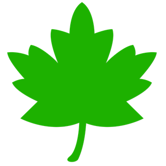 Green Maple Leaf Icon PNG
