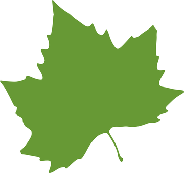 Green Maple Leaf Silhouette PNG