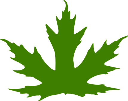 Green Maple Leaf Silhouette PNG