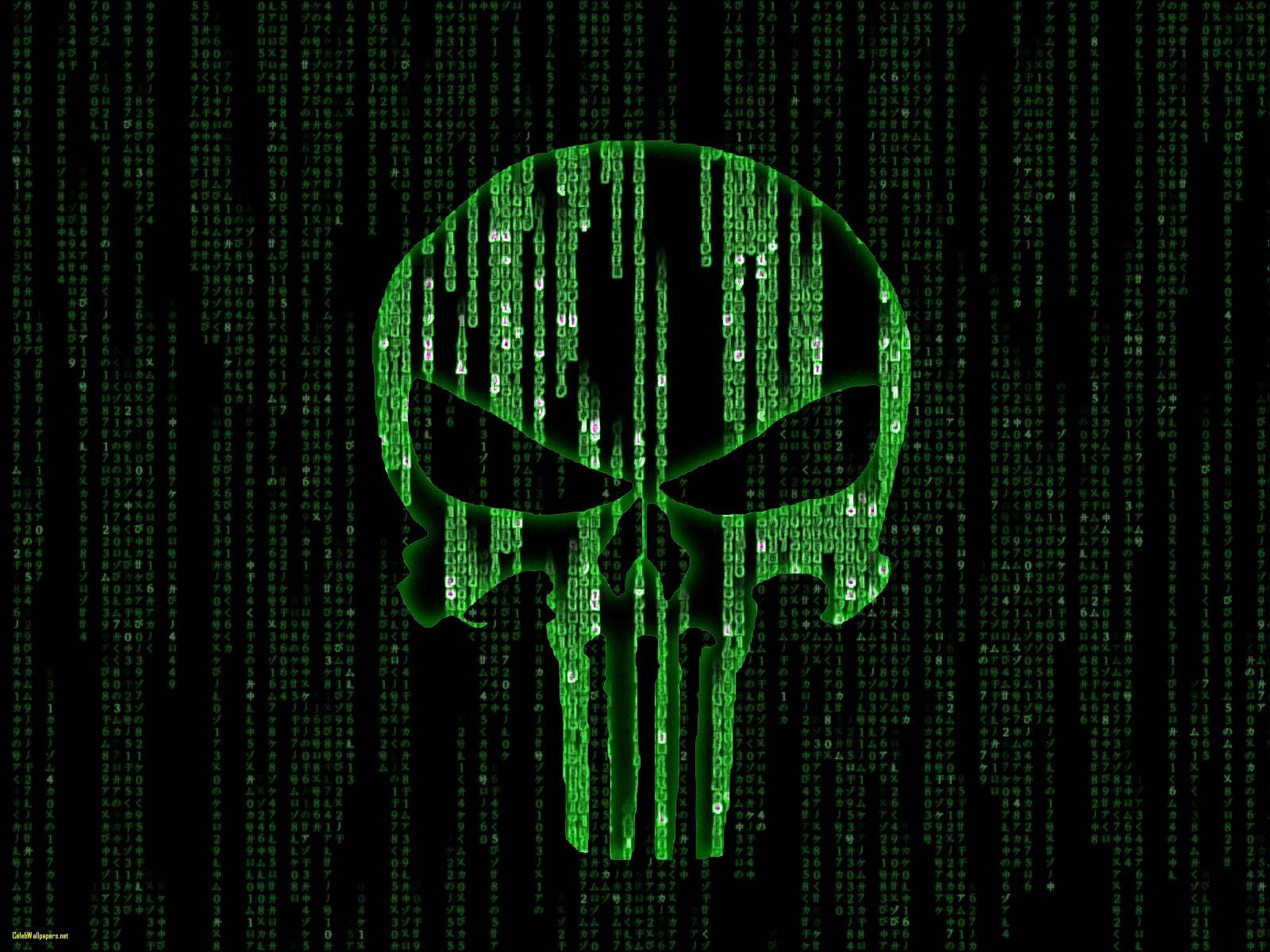 Symbolet for Punisher omgivet af en grøn matrix. Wallpaper
