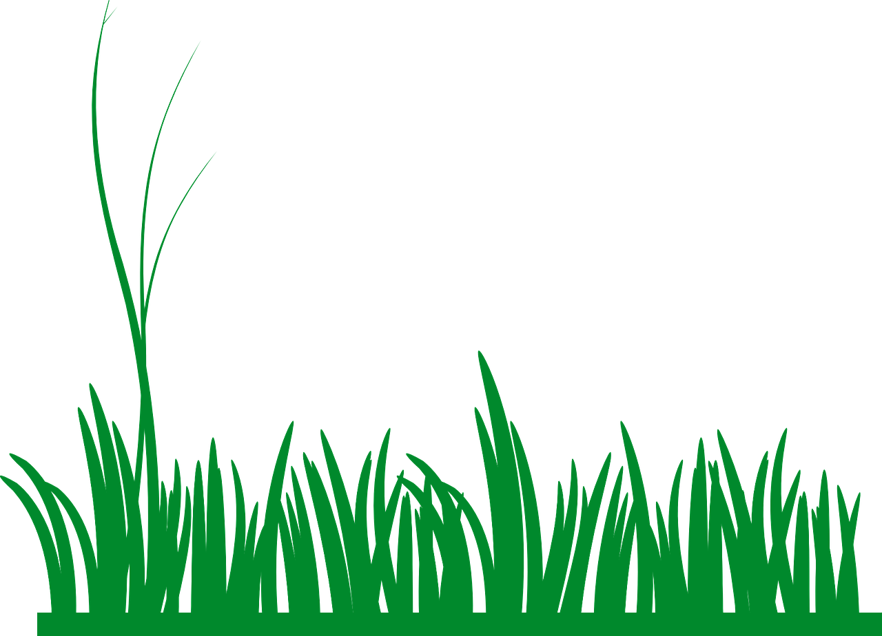 Green Meadow Grass Silhouette PNG