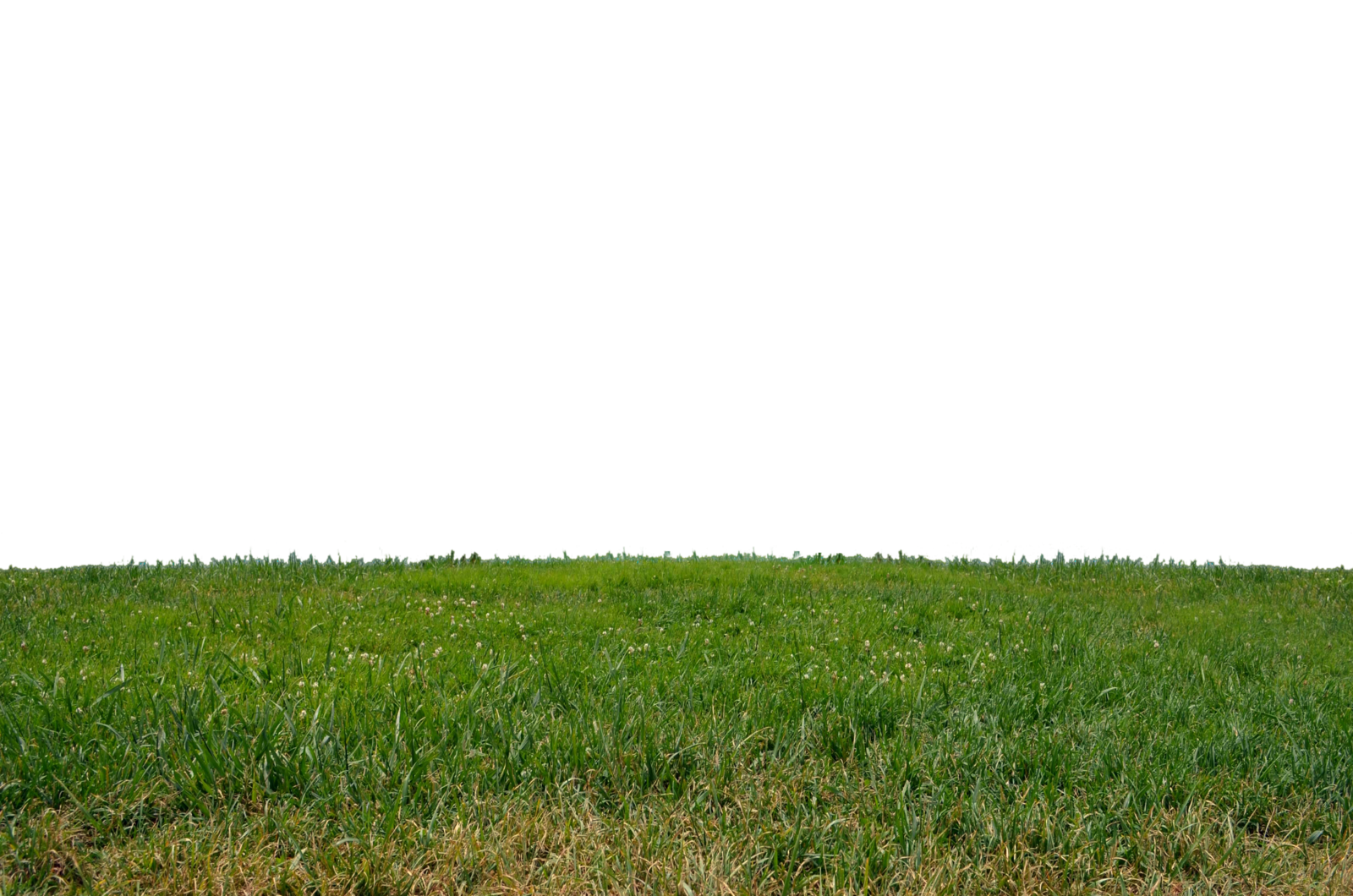 Green Meadow Horizon PNG