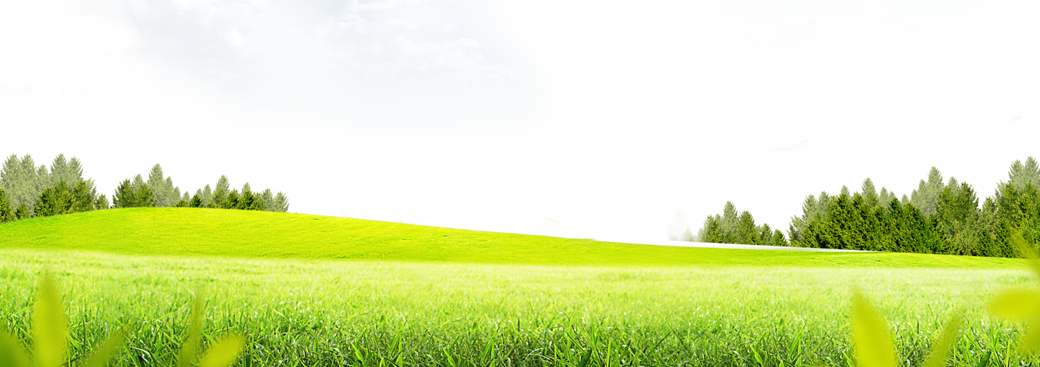 Green Meadow Skyline PNG