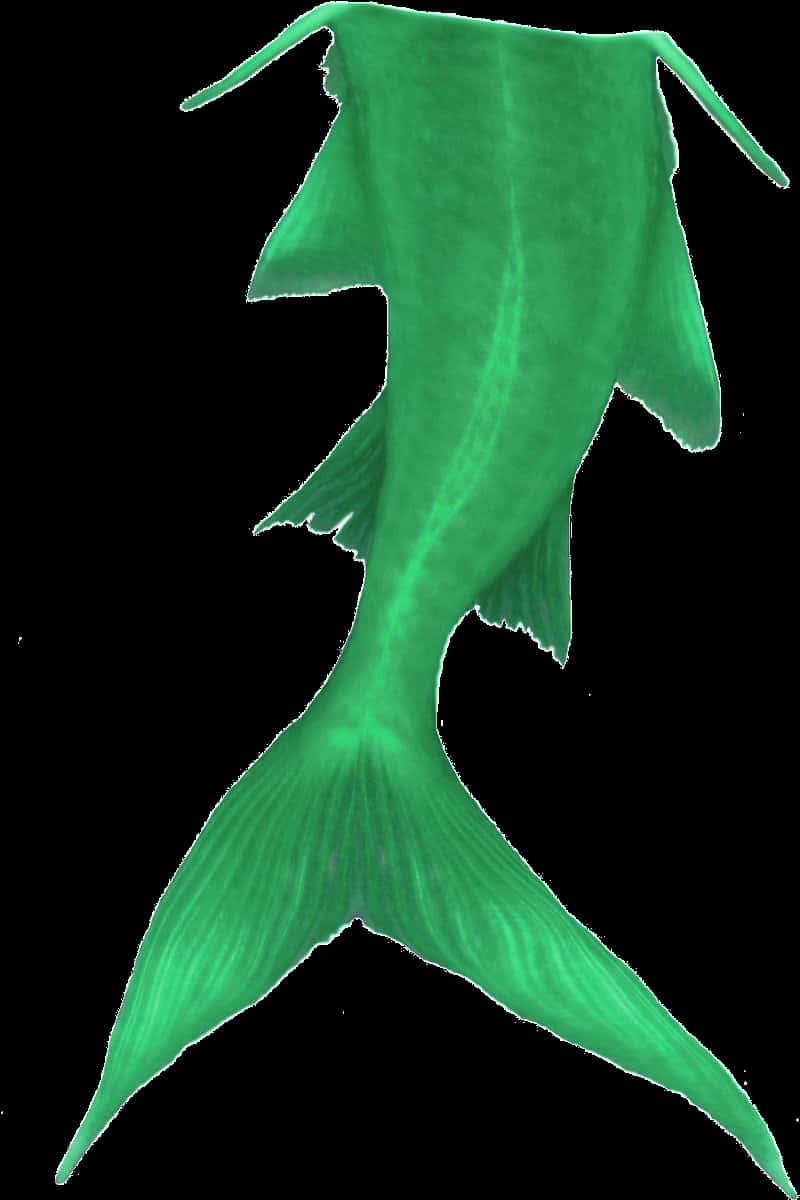 Green Mermaid Tail Graphic PNG