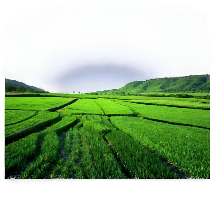 Green Mesa Fields Png Bef PNG