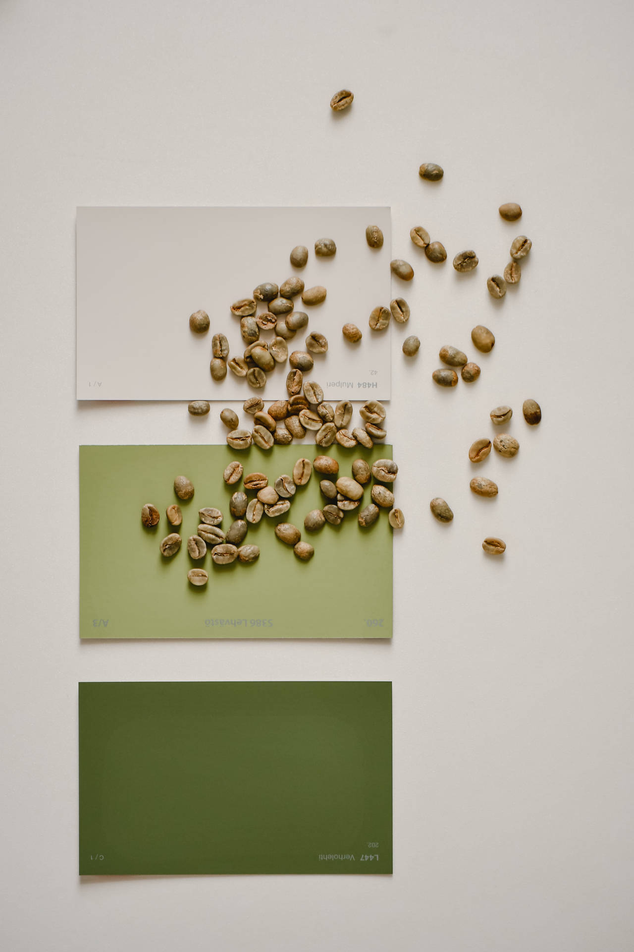 Caption: Embodying Simplicity with Vibrant Green Minimalist Aesthetics Wallpaper