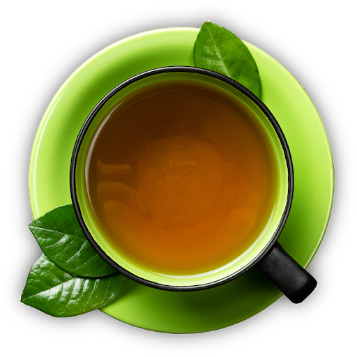 Green Mint Tea Cup Top View PNG