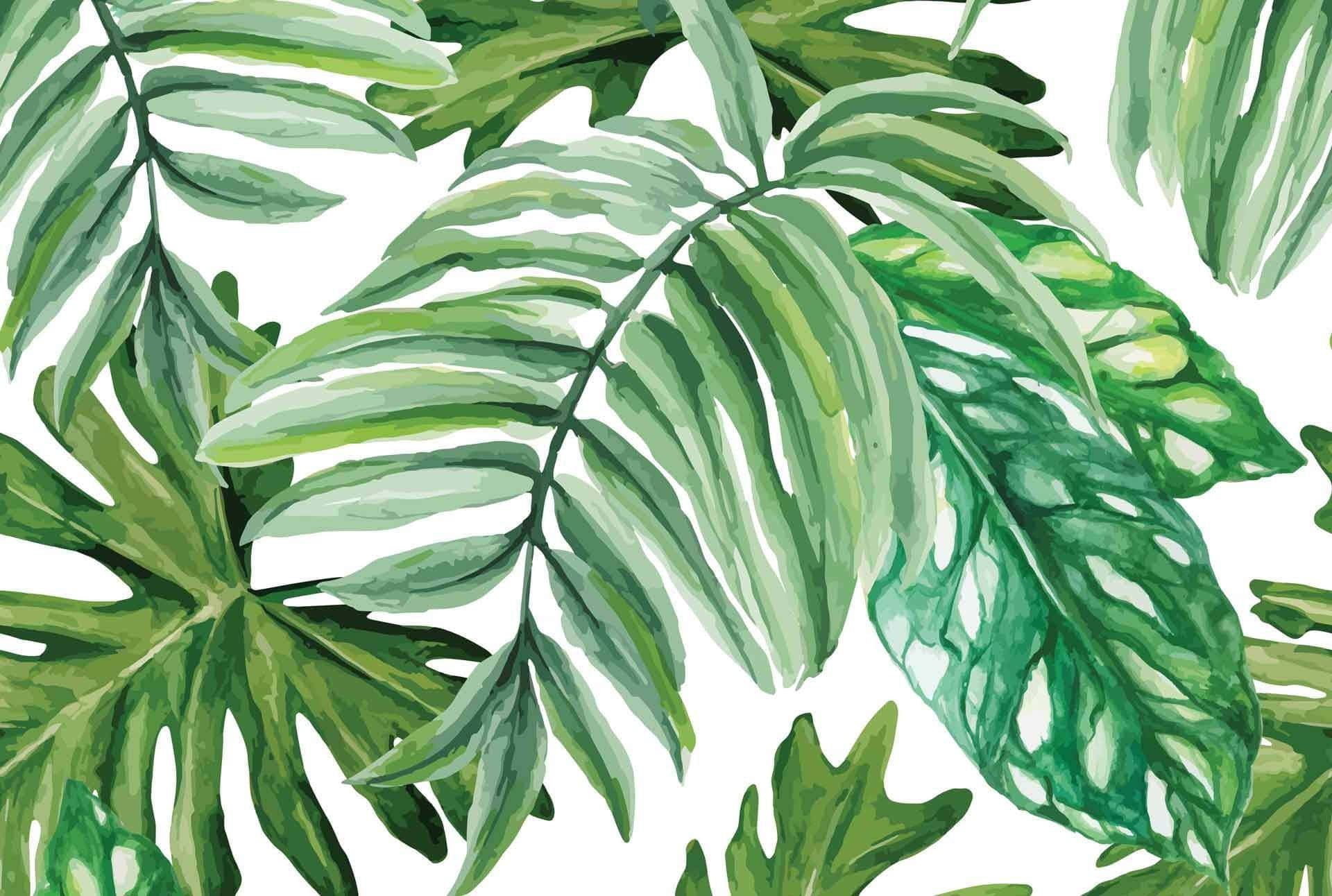 Green Monstera Leaves Digital Painting Wallpaper