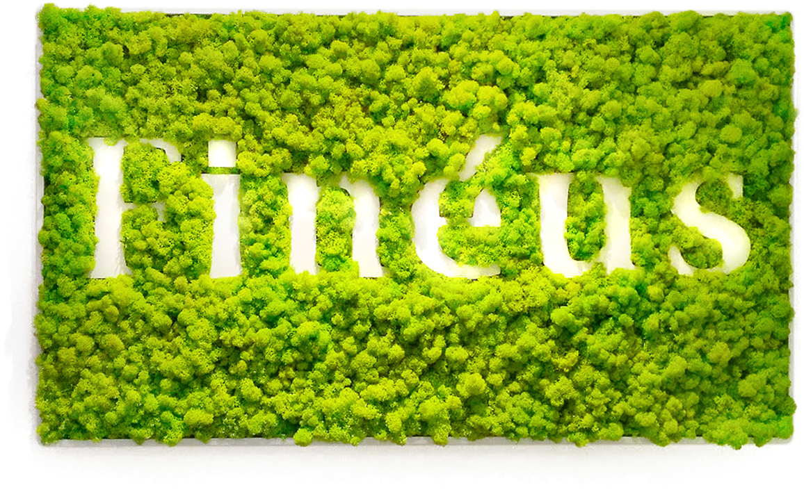 Green Moss Wall Art Fintus Logo PNG
