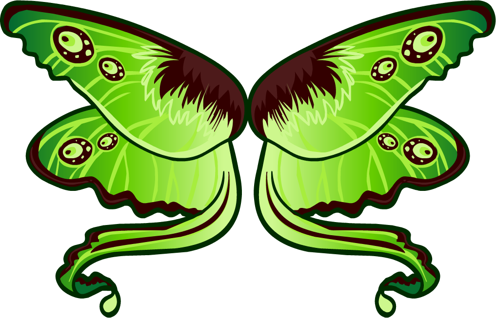 Green Moth Illustration PNG