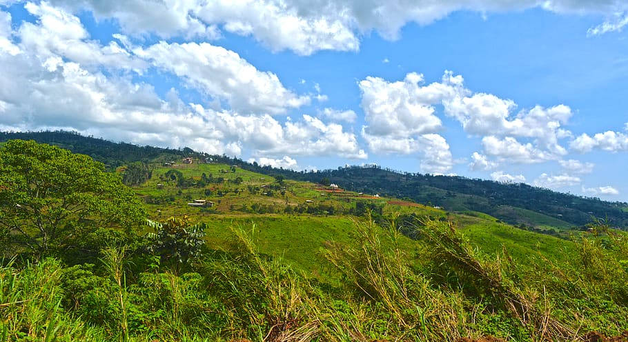 Campode Montañas Verdes En Camerún Con Cielo Azul Fondo de pantalla