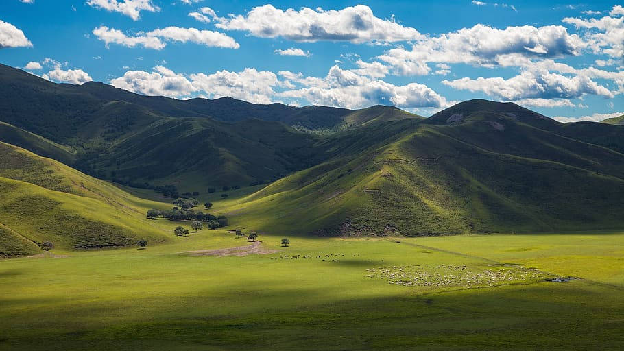 Grønne bjerglandskaber af Mongolias naturlige miljø Wallpaper
