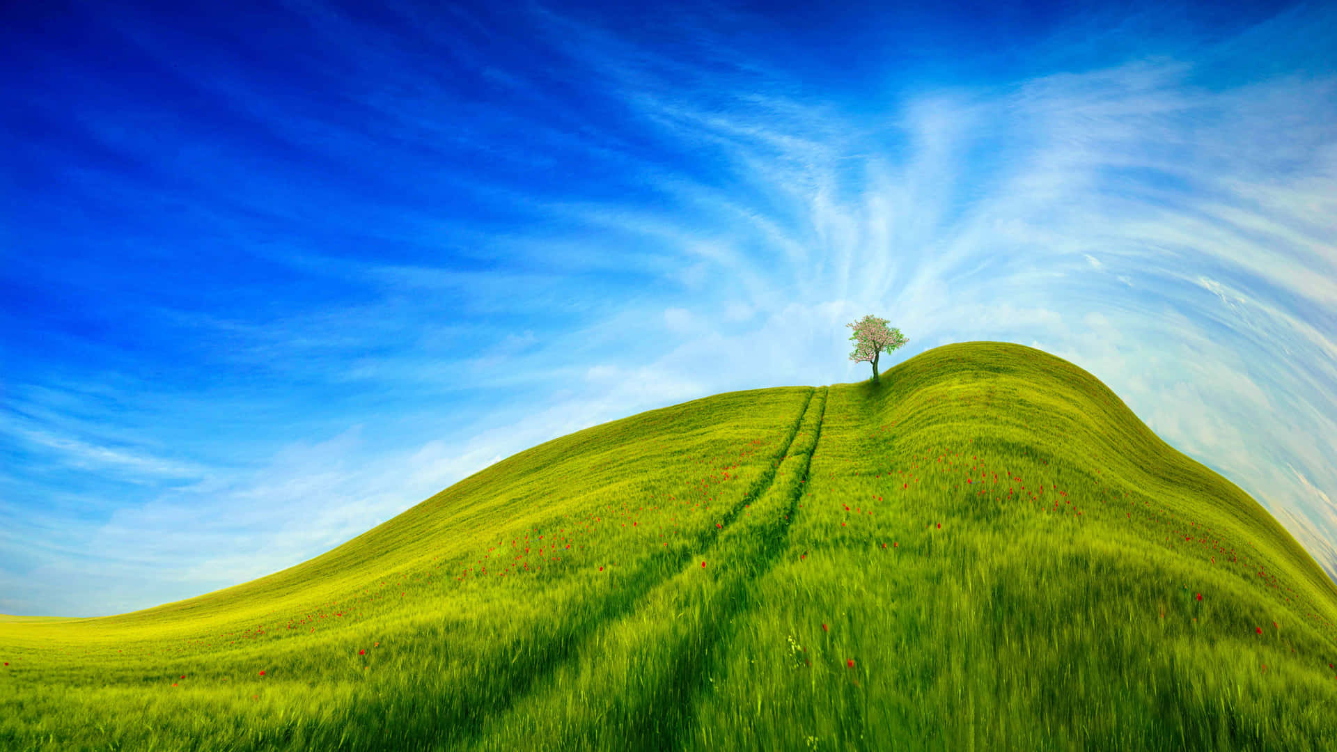 Enjoy green nature and its beauty with this calming background
