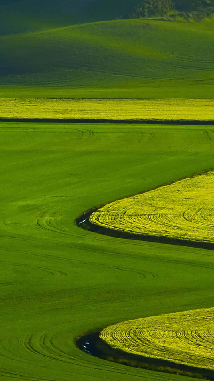 Green Field Nature Iphone Wallpaper