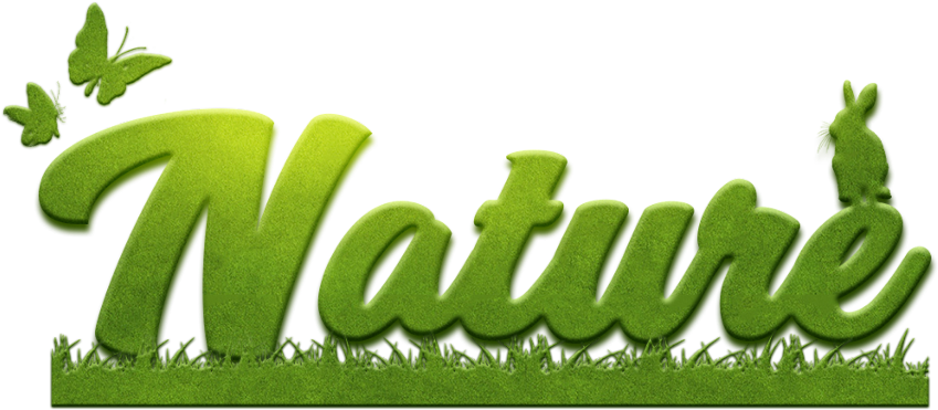 Download Green Nature Text Design | Wallpapers.com