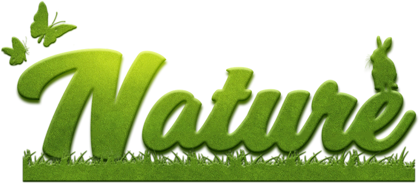Green Nature Text Design PNG
