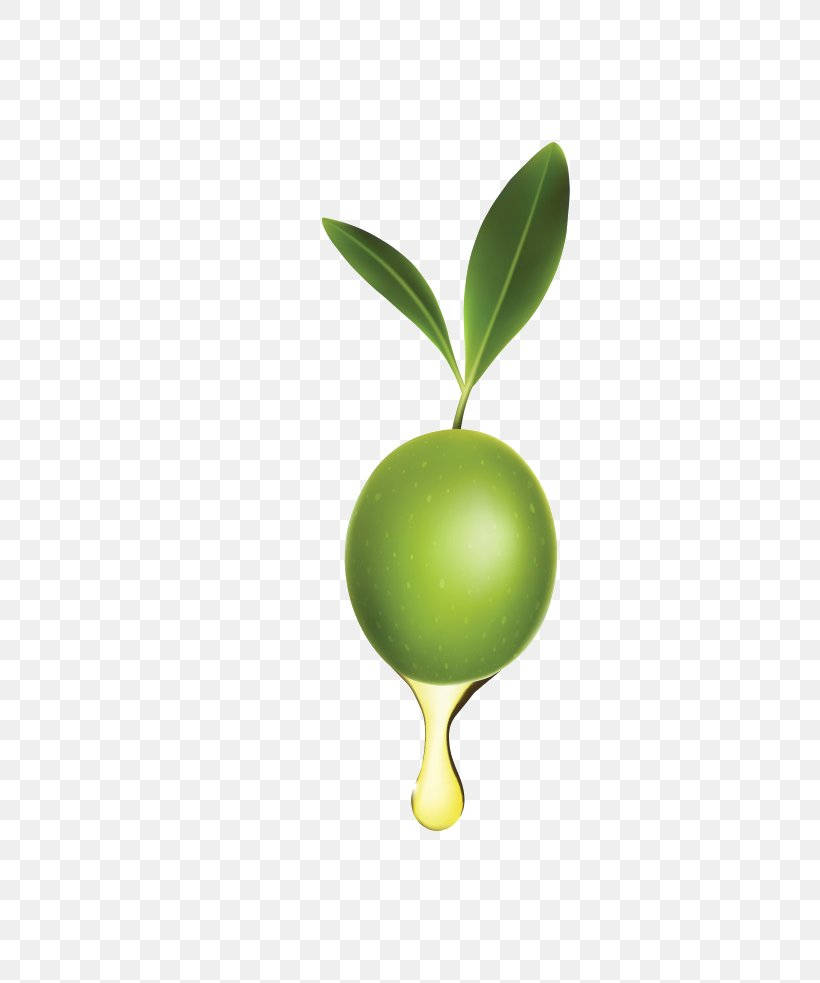 Grøn Oliven Frugt Ekstrakt Olie Blomster Tapet Wallpaper