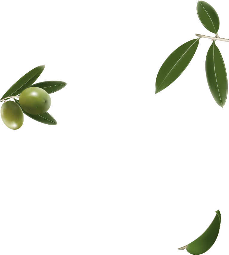 Green Olives Branch Blue Background PNG