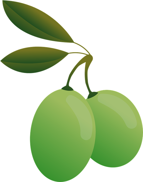 Green Olives Illustration PNG