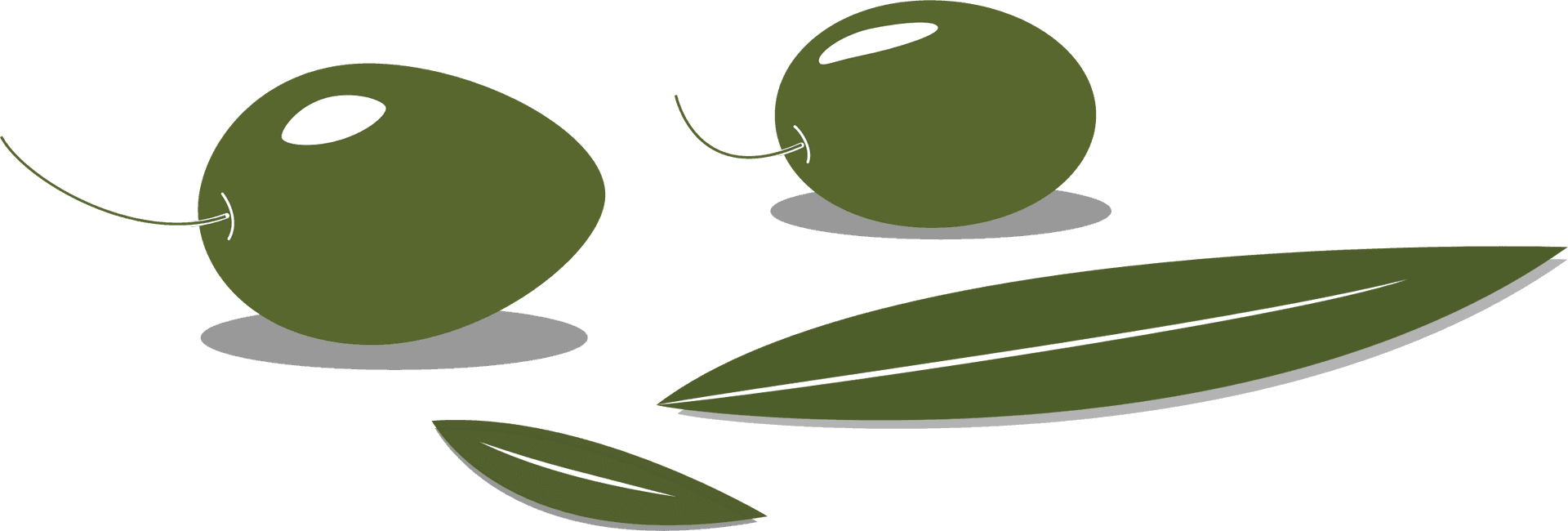 Green Olivesand Leaves Vector PNG