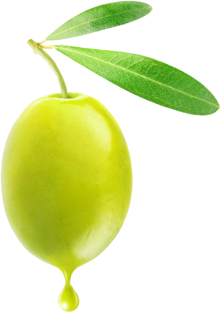 Green Olivewith Oil Drip PNG
