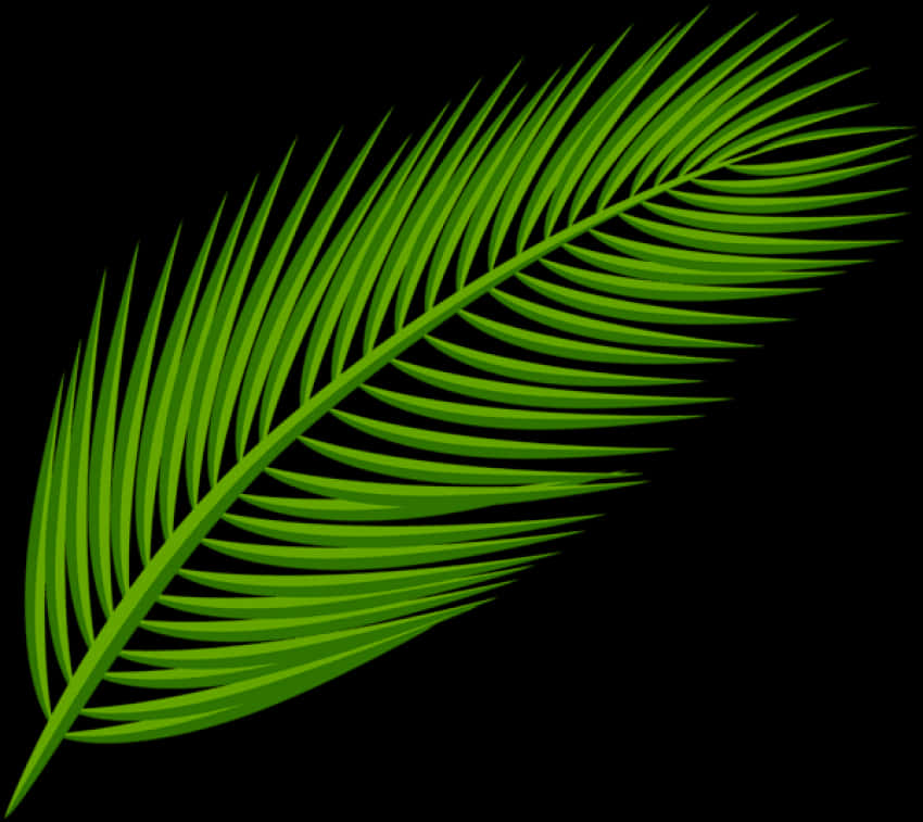 Green Palm Leaf Clipart PNG