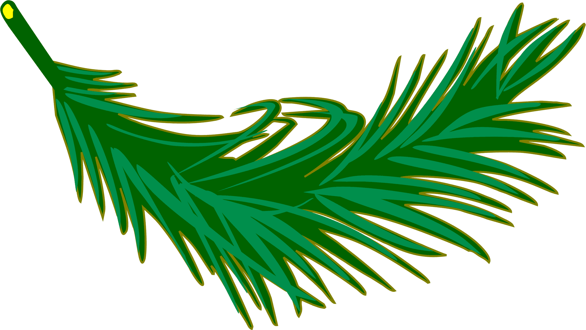Green Palm Leaf Graphic PNG