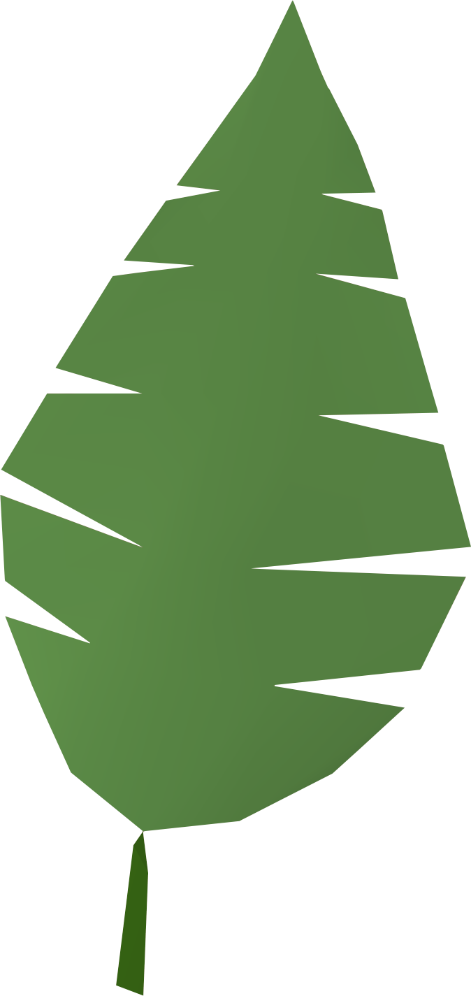 Green Palm Leaf Graphic PNG