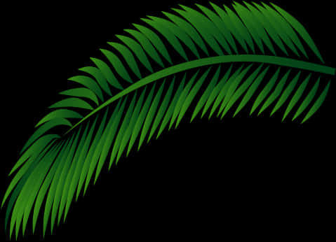 Green Palm Leaf Vector PNG