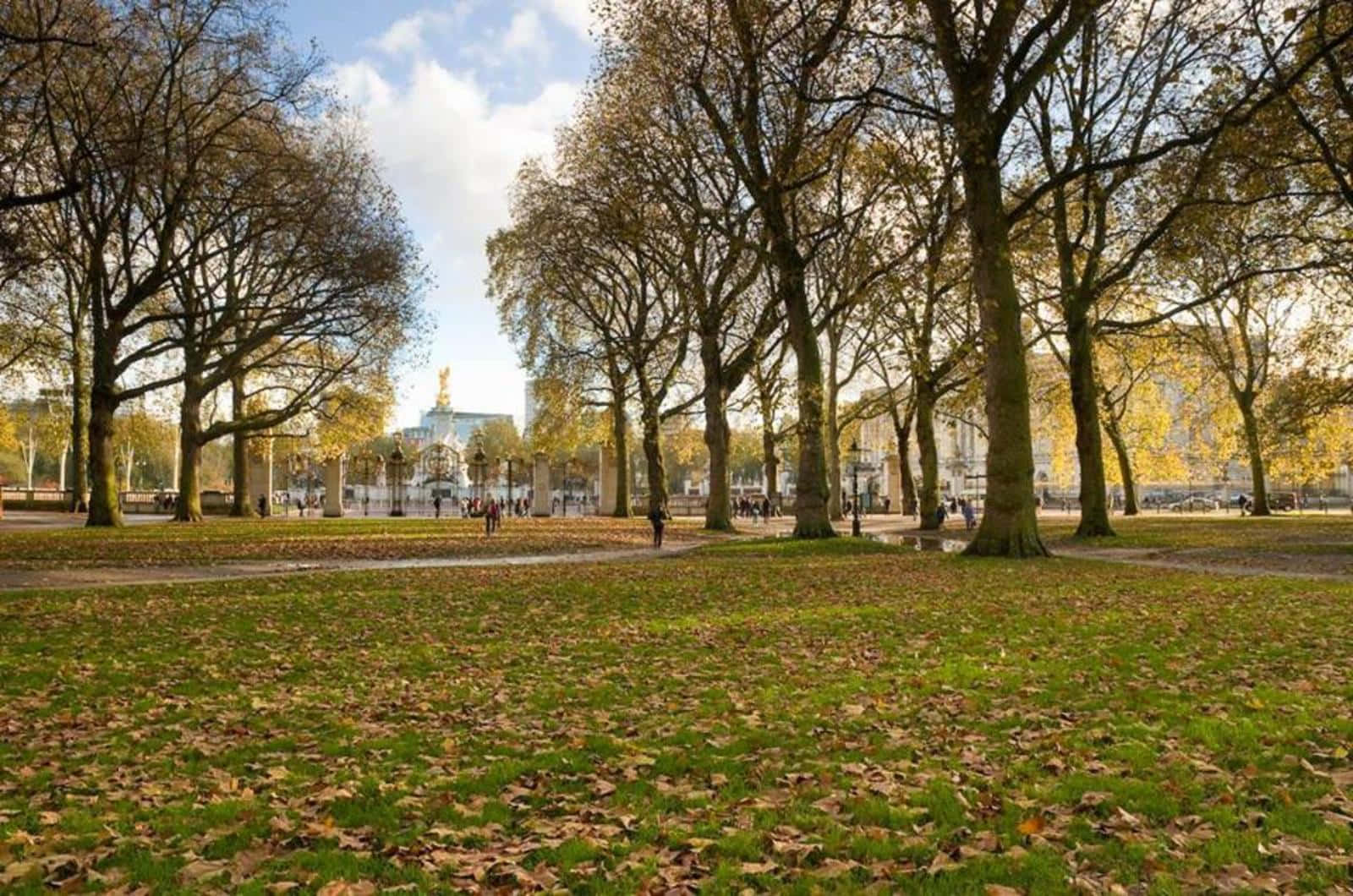 Parqueverde Royal Park En Londres. Fondo de pantalla