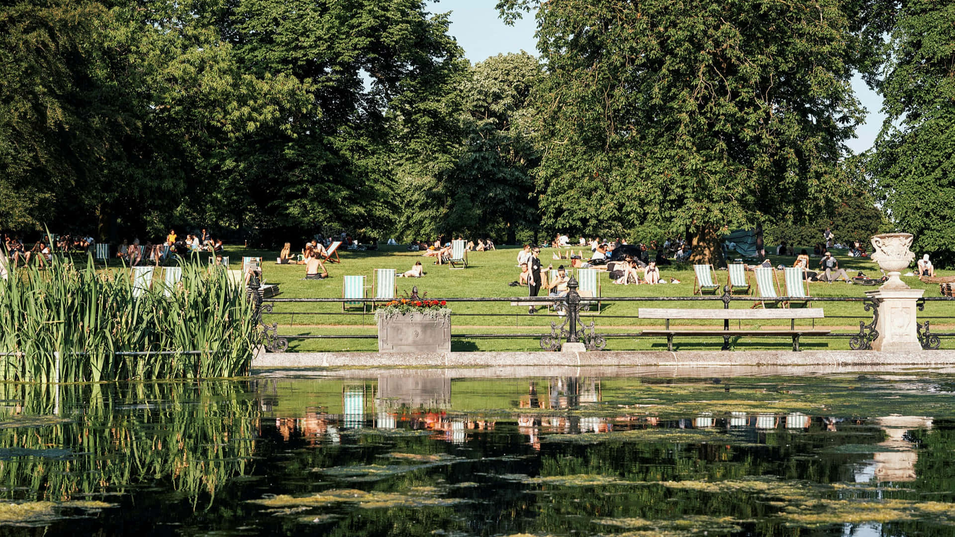 Parqueverde De Westminster En Londres Fondo de pantalla